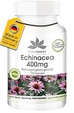 Echinacea 400mg - 120 Kapseln - hochdosiert - vegan | HERBADIREKT by Warnke Vitalstoffe - Deutsche Apothekenqualität