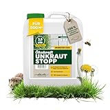 Scheidler Ökokraft Unkraut-Stopp Grundstoff Essig/Acetum 3 Liter – Natürlicher Unkrautvernichter für 500 m2 extra stark – Unkraut Entferner Wege/Pflaster/Terrassen – Langzeit Unkrautfrei