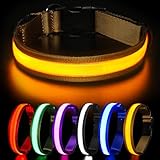 HEELE Hundehalsband Leuchtend, Leuchtend Halsband, Leuchthalsband Type-C Wiederaufladbar, Leuchthalsband Hund Wasserdicht, LED Halsband für Hunde, Hundehalsband mit 3 Beleuchtungsmodi, Braun, M