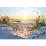 Runa Art Fototapeten 396 x 280 cm Strand Sonnenuntergang - Vlies Wanddekoration Wohnzimmer Schlafzimmer - Deutsche Manufaktur - Meer Natur 9559012a