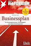 Businessplan: für Gründungszuschuss, Einstiegsgeld- und andere Existenzgründer (stern-Ratgeber)