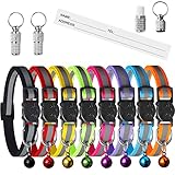 Extodry 8 Stück Reflektierende Katzenhalsband mit 2 Stück Namen Adresse Tags Set, Halsband Katze mit Sicherheitsverschluss,Verstellbar Kitten Halsband(7.5''-12.5''),Personalisiert Haustierzubehör