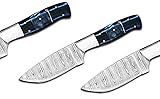 'NovaHaven Jagd-Skinner-Messer – 10 Zoll Damaststahl-Klinge mit Griff aus schwarzem Micarta und Widderhorn, Premium Outdoor- und Jagdmesser'