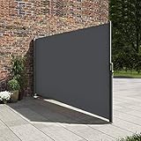 Zlinke Seitenmarkise 180 x 350 cm ausziehbar Senkrechtmarkise, Blickdicht, Seitenrollo Windschutz für Balkon, Terrasse, Garten, Grau