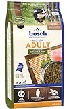 bosch HPC Adult mit frischem Geflügel & Hirse | Hundetrockenfutter für ausgewachsene Hunde aller Rassen | 1 x 3 kg