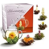 Creano Teeblumen Mix - Geschenkset ErblühTee mit Glaskanne 500ml Weißtee & Schwarztee mit 6 Teekugeln je 3x weißer & schwarzer Tee - 7 teilig