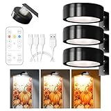 Winwj 3 Stück Bildbeleuchtung Kabellos, Aufladbar Bilderleuchte Kabellos mit Fernbedienung, Bild Licht mit 3 Lichtfarben, Dimmbar, Magnetisches LED Malerei Licht für Bilderrahmen, Wand, Regal, Bilder