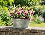 GartenGees Zinkwanne,rund,antik-grün,Pflanzgefäß,28,5cm Durchmesser,Art118158