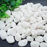 wayber 0,9 LB/410 g Deko Sand (füllt 1 & 1/8 Tassen), Rock Kristall Steinen für Aquarien/Terrarien/Garten/Blumentopf/Gläser/Vasen Dekoration 0.9 pound ST-GM
