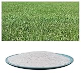 25 kg Rasendünger mit 3 Monaten Langzeitwirkung für Frühjahr und Sommer - tierfreundlich - Premium Rasen-Langzeitdünger auf Naturbasis