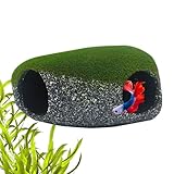 Generico Höhle für Aquarien, Steinhütte mit 2 Löchern zur Reproduktion und Dekoration - Haus aus Stein | für Haus Büro Tiergeschäft Salzwasser Terrarium Aquarium Eckbecken
