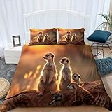 Bettwäsche 135x200cm mit Reißverschluss Erdmännchen Mit Tiermotiv Braun Kuschel Bettwäsche Set Weich Microfaser Einzelbett Wendebettwäsche Bettbezug und Kissenbezug 80x80cm