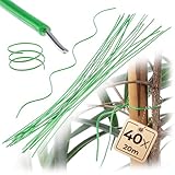KADAX Pflanzenbinder 20cm, 40er Set, grüner Bindedraht zur Befestigung von Tomaten, Rosen & Kletterpflanzen, Gartendraht, Pflanzendraht für Garten