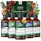 NORDHOLZ® Saunaaufguss Set - [5x100ml Finnische Reise] besonderes & natürliches Sauna Aufgussmittel - intensiver & erholsamer Duft - Sauna Zubehör