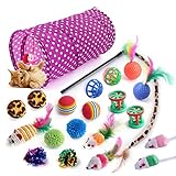 REOTEL Katzenspielzeug Set Mit Katzentunnel,21Pcs Katzen Spielzeug,Enthält Auch Bälle,Federspielzeug,Plüschspielzeug,Spielzeugmäuse Katzen Spielzeug Variety Pack Für Kitty Katzen,B
