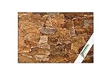 XL Korkrückwand Desert (Rückwand Terrarium) | 3D Kork-Rückwand 60 x 30 cm | gereinigt & desinfiziert