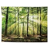 MIGIFTDY Waldbaum Wandteppich Wandbehang Extra Großer Wandteppiche Nebliger Wald Wandteppich Wandteppich Wald Wandtuch Baum für Home Office Dorm Indoor und Outdoor Dekoration150 cm x 200 cm (B)