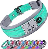 Joytale Hundehalsband, Weich Gepolstert Neopren Halsbänder für Mittlere Hunde, Nylon Reflektierend Breit Halsband Hund, Türkis