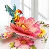 Hierein Geburtstagskarte Frau, Kolibri und Blumen Pop Up Geburtstagskarte, Popup Karte für Mama Freundin Mädchen Tochter, Geburtstagsgeschenk für Frauen, Jahrestag Geschenk für Frauen, Geburtstag Deko