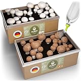 Hiwago Komplettset Champignon Pilzbox zum Pilze züchten für Zuhause – Komplettset für braune & weiße Champignons, Pilzbrut zum Züchten für zuhause - Mushroom kit mit Myzel & Gießkannenaufsatz Gr. M