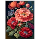 Mohn Malen nach Zahlen, Blume Malen nach Zahlen Erwachsene, Paint by Numbers Adult, DIY Handgemalt Ölgemälde für Home Décor Geschenk 40x50cm