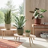 Artevasi Blumentopf Miami Wavy 20cm Creme – eleganter Übertopf mit Wellenstruktur, mattem Finish – ideal als Pflanzkübel für Moderne Räume