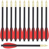 WANVZMR 6,3' Carbon Pistole Armbrust Bolzen Pfeile,Mini Armbrustbolzen Armbrustpfeile mit Stahlspitzen Jagdpfeile für 50-80 lbs Pistolenarmbrust Präzisionsziel,Schießübungen und kleine Jagd(12stk rot)