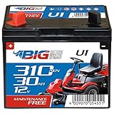 BIG U1 Garden Power Rasentraktor-Batterie 12V 30Ah 310A Starterbatterie für Aufsitzmäher wartungsfrei