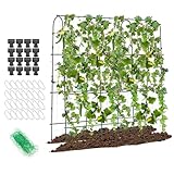 HOMASIS Gurke Rankhilfe Set Metall, Rankgitter Bogen, Gitterspalier für Kletterpflanzen, Gartenspalier mit PP-Netz & 16 Clips & 28 Klammern, Pflanzenspalier Pflanzenstütze für Gemüse, 179x32-65x180 cm