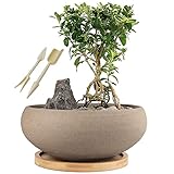 MUZHI Bonsai-Topf aus Keramik, rund, unglasiert, mit Bambus-Tablett, groß, grobe Keramik, Sukkulenten-Übertopf mit Ablaufloch, 20,3 cm