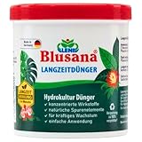 Blusana Langzeitdünger Lewatit HD 50 für Zierpflanzen in Hydrokultur | NPK mineralischer Dünger mit Ionenaustauscher 3-4 Monate Wirkung | Dose 800 ml Granulat