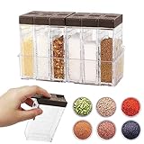 Veiteibe 6er Set Transparente Gewürzdose mit Tablett - Gewürzbox Kunststoff, Camping Gewürze Set, Küche Gewürzbox Set, Gewürzdosen für Aufbewahrung Küche Gewürze