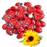 Holz Marienkäfer 50 Stück Mini Selbstklebend Glücksbringer Holzmarienkäfer Holzverzierungen für DIY Scrapbooking Handwerk Party Dekoration