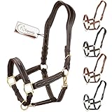 Esposita anatomisches Lederhalfter Deluxe Halfter aus Leder für Pferde Stallhalfter Pferdehalfter - Schoko Braun Pony