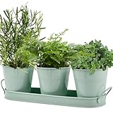 CENBEN 3er-Set kräutertöpfe Metall,Kräutergarten mit Tablett,Kräutertopf Küche,Herb Pots Indoor/Outdoor,Pflanztöpfe für Kräuter,Basilikum, Minze, Petersilie-Frische Kräuter Zuhause Anbauen