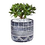LINXIU Bumentöpfe Innen 12,5 cm Deko Pflanztopf mit Entwässerungslöchern Pflanzkübel Topf Blumenkübel für Balkon Garten Pflanzen Sukkulenten