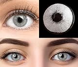 GLAMLENS Pisa Gray Grau + Behälter | Sehr stark deckende natürliche graue Kontaktlinsen farbig | farbige Monatslinsen aus Silikon Hydrogel | 1 Paar (2 Stück) | DIA 14.20 | -1.25 Dioptrien