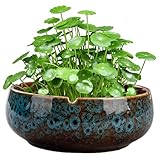 Tadoiooy Lotus Bowl Pflanzer, 6,5 x 2,5 Zoll runde Keramikpflanztöpfe, Vintage Decorative Lotus Blumenschale, Nicht Slip Wasserlily Schüssel für saftige Pflanzen