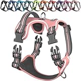 VIVAGLORY Easewalk Hundegeschirr, Anti Zug Hundegeschirr für Training & Spazieren, Anti Zieh Geschirr Welpengeschirr Mit Griff, Ausbruchsicher & Non-Stop Anti-Zug für Welpe Hunde, XS, Sakura-Rosa