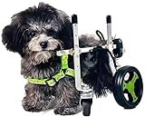 Hunderollstuhl mit 4 Rädern, Mobilitätswagen für Hunde mit voller Unterstützung, Rollstuhl mit Mobilitätshilfen für Hunde, für die Rehabilitation von Hunden mit Behinderung der Hinterbeine (
