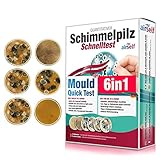 Schimmeltest für zu Hause - Schimmelpilz Test für bis zu 6 Räume - Schimmelpilz Schnelltest zur Einschätzung der Luftqualität hinsichtlich einer Schimmelpilzbelastung in Innenräumen