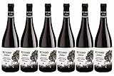 DELINAT – Weinpaket Mundo de Yuntero tinto 2020, Tempranillo-Rotwein aus Spanien, trocken, 6 Fl. Biowein à 0.75 l