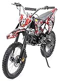 Actionbikes Motors Midi Kinder Jugend Crossbike Predator 125 cc - Hydraulische Scheibenbremsen - CDI Zündung - Bis 80 Km/h - Motocrossbike - Motocross - Cross (Schwarz)