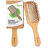 lampox - Bambus Haarbürste Holz mit Naturpins, Paddle Brush, Pins aus Bambus, Entwirrbürste, Detangler, antistatisch, Anti-Frizz, Lockenbürste, Holzbürste, Haarbürsten