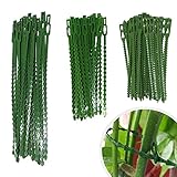 NITAIUN 160 Stück Verstellbarer Pflanzenbinder Befestigungsset, Pflanzenbinder Grün zum Befestigen von Ästen Set Twist Ties für Pflanzen Stabilisieren, für Topfpflanzen Gartenbaum Sträucher Binden