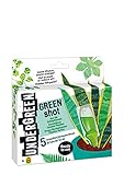 Undergreen by COMPO Green Shot, Kur für Grünpflanzen und Palmen, Aufbaukur, Dünger, 5 Ampullen je 30 ml, Transparent