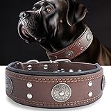 Hundehalsband Leder, 5 cm Breites Robustes Echtes Lederhalsband, Handgefertigt, Weich und Luxuriös, Auffällige Beste Wahl für Große und Mittelgroße Hunderassen 42-52 cm