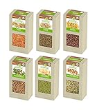 FLORTUS – BIO 'Lieblings'-Sprossen Samen Mischung 6x200g – Keimsprossen Set zur Anzucht für Keimglas, Garten, Balkon – Sprossenmischung Saatgut in höchster Bioqualität (Kresse, Alfalfa, Brokkoli usw.)