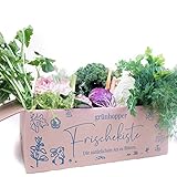 Frischekiste Bunte Vielfalt 5 kg Kaninchenkiste