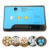 Smart Mini Egg Hatching 12 Eier Inkubator Automatische Temperaturregelung Hatcher für Hühner, Enten, Vögel